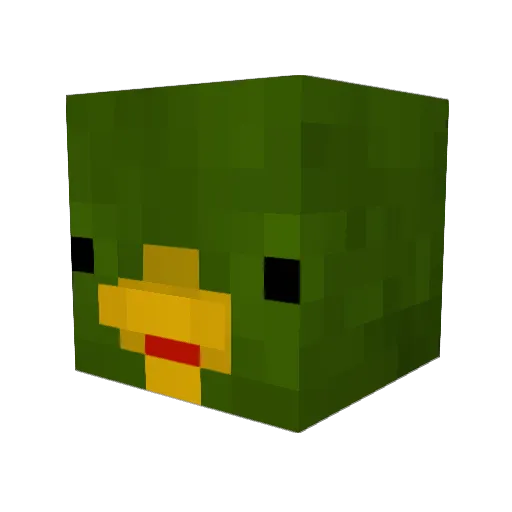 Kruknak Minecraft avatar head, 3D render