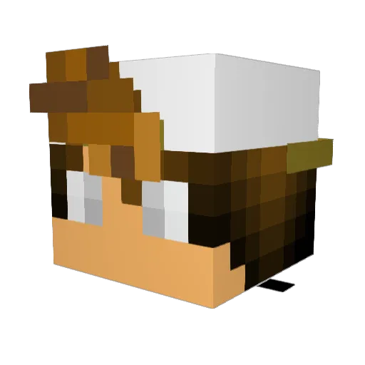 Krusher03 Minecraft avatar head, 3D render