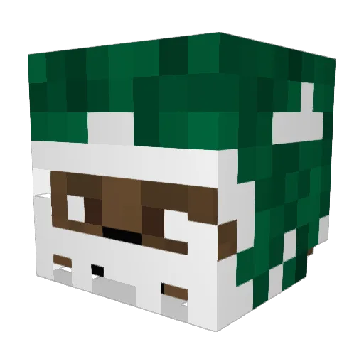 KrustyCuz Minecraft avatar head, 3D render