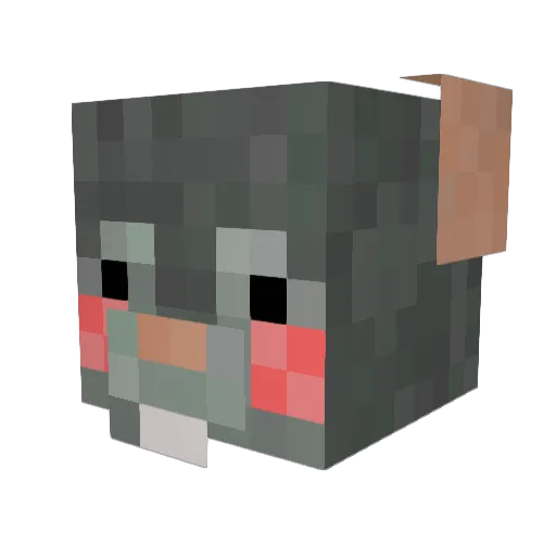 KrustyKritter2 Minecraft avatar head, 3D render