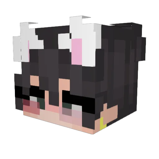 Kruvi4 Minecraft avatar head, 3D render