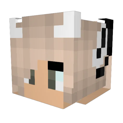 Krynz Minecraft avatar head, 3D render