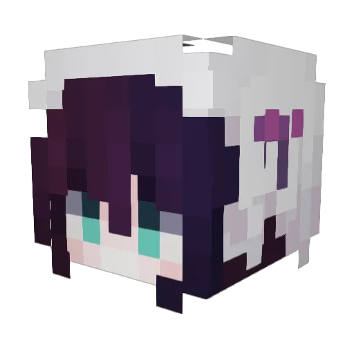 Krypt0xx Minecraft avatar head, 3D render