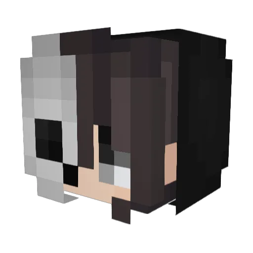 KryptTex Minecraft avatar head, 3D render