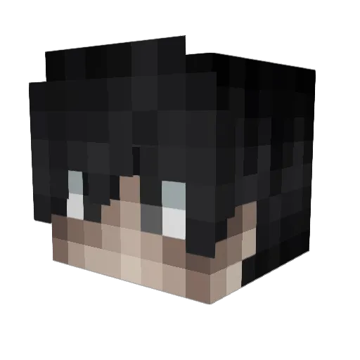 KryptoN_ Minecraft avatar head, 3D render