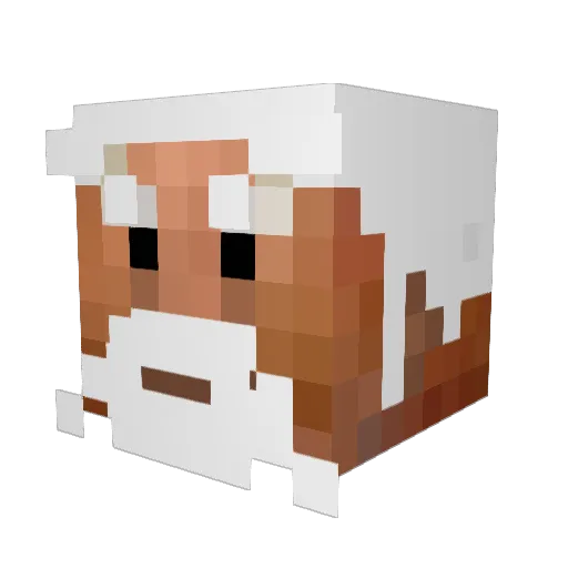 Krypton75 Minecraft avatar head, 3D render