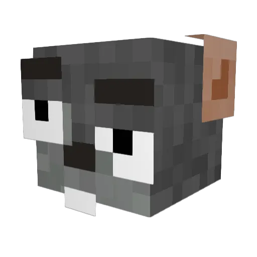 Krysak47 Minecraft avatar head, 3D render