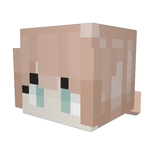 Krysanta Minecraft avatar head, 3D render