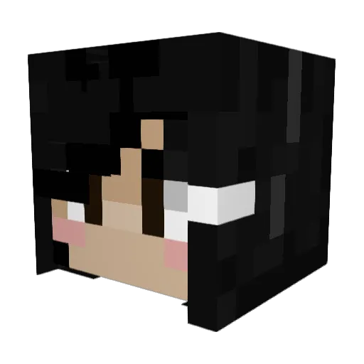 Krysstali Minecraft avatar head, 3D render