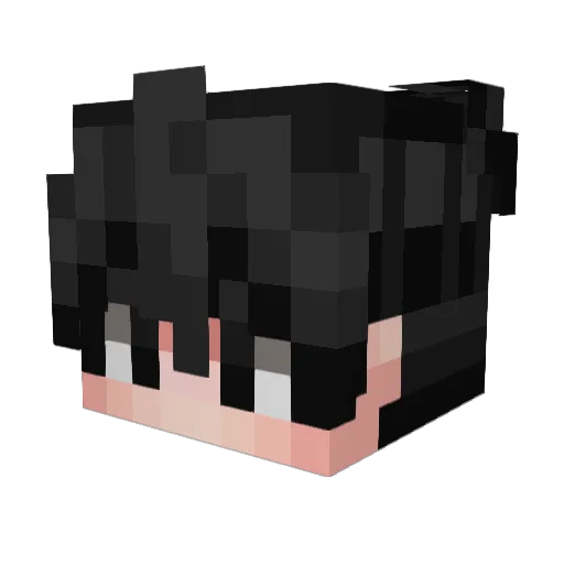 Krytmas Minecraft avatar head, 3D render