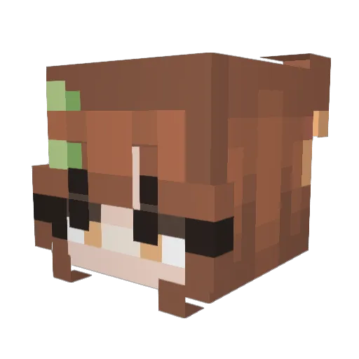 Kryura Minecraft avatar head, 3D render