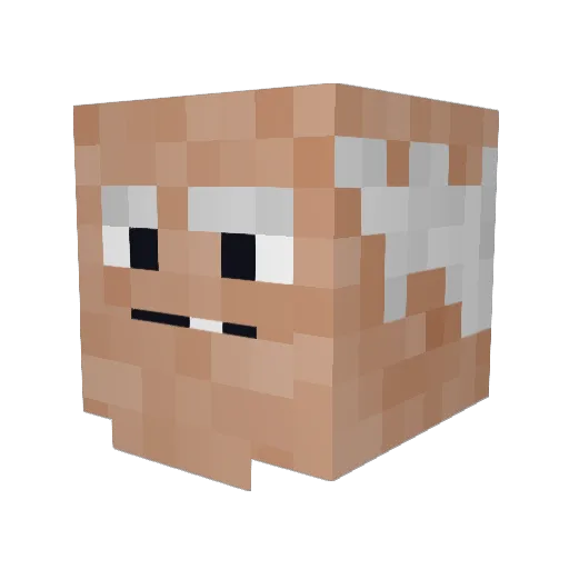 Ksawery97 Minecraft avatar head, 3D render