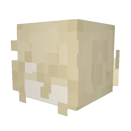 Kshu5009 Minecraft avatar head, 3D render