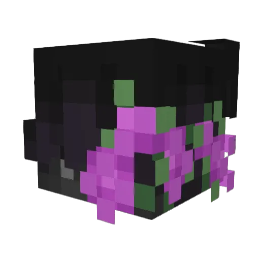 Kshx Minecraft avatar head, 3D render