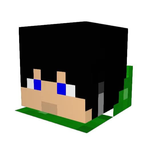 Ksm6653 Minecraft avatar head, 3D render