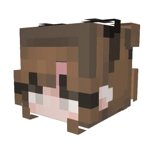 Ksmall29 Minecraft avatar head, 3D render