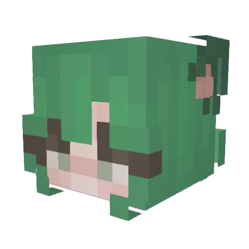 KtKat64 Minecraft avatar head, 3D render