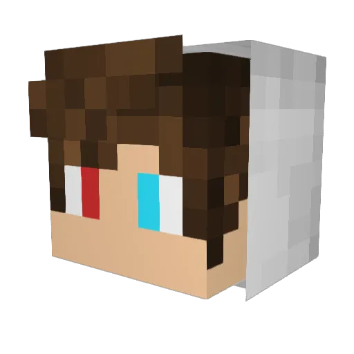KtorInjection Minecraft avatar head, 3D render