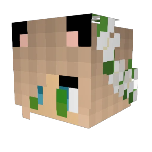 Ktwins27 Minecraft avatar head, 3D render