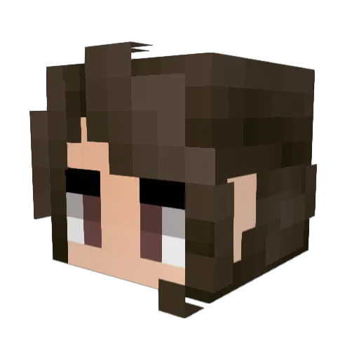 KtyAdventure Minecraft avatar head, 3D render