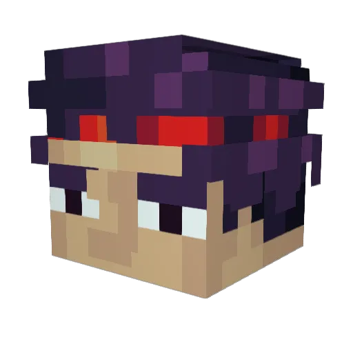 Ku_Klux_Klan_69 Minecraft avatar head, 3D render