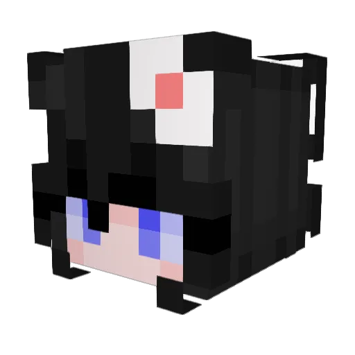 Ku_ca Minecraft avatar head, 3D render