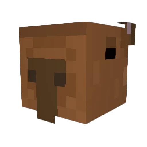 Kuba0911 Minecraft avatar head, 3D render