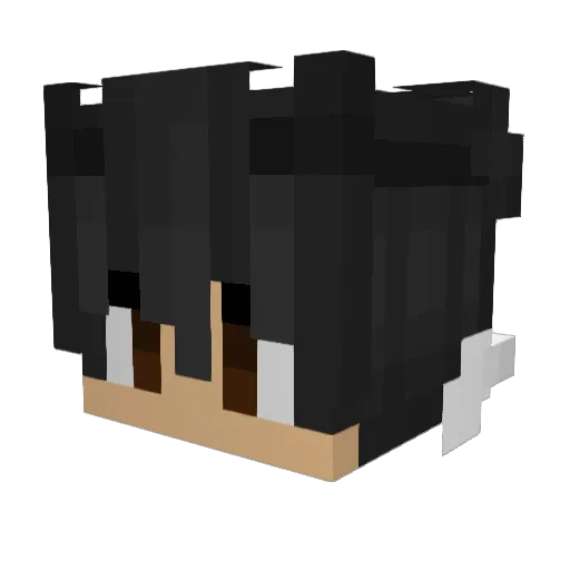 Kuba1906 Minecraft avatar head, 3D render