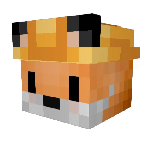 KubaWis Minecraft avatar head, 3D render