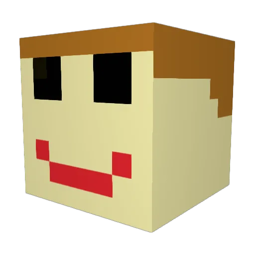 Kubixsin2011 Minecraft avatar head, 3D render