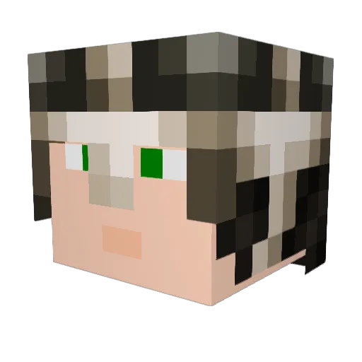 Kubza25 Minecraft avatar head, 3D render