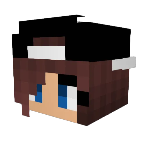 Kuddelmuddel_ Minecraft avatar head, 3D render