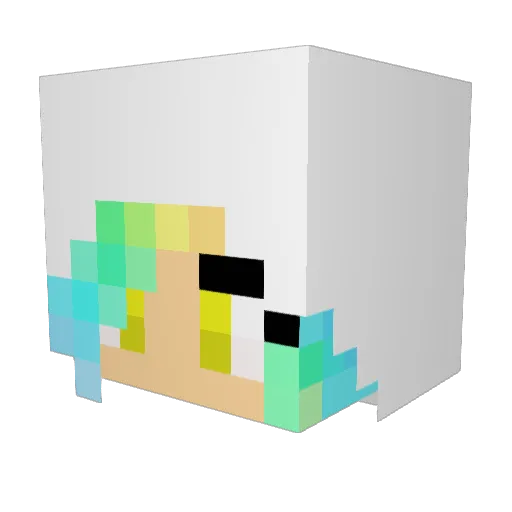 Kudlaty27 Minecraft avatar head, 3D render
