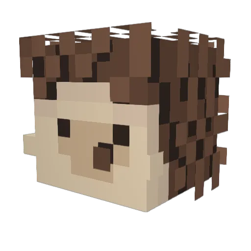 Kudli_76 Minecraft avatar head, 3D render