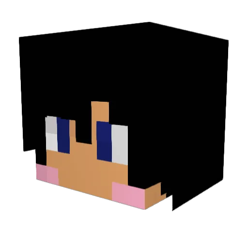 Kudo_O Minecraft avatar head, 3D render