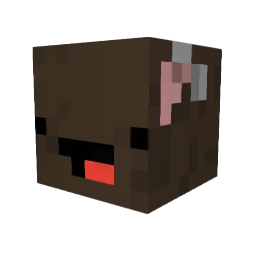 Kueninja Minecraft avatar head, 3D render