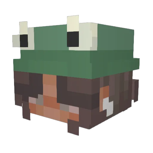 Kuijp123 Minecraft avatar head, 3D render