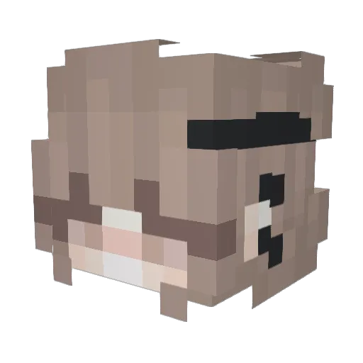 Kuisma_ Minecraft avatar head, 3D render