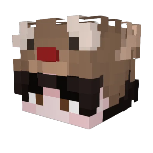 Kuk1to Minecraft avatar head, 3D render