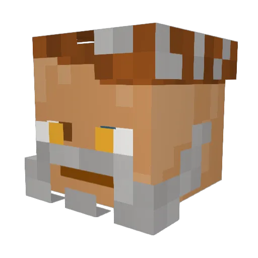 Kukica Minecraft avatar head, 3D render