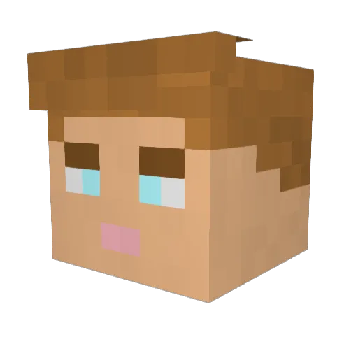 Kukie250 Minecraft avatar head, 3D render