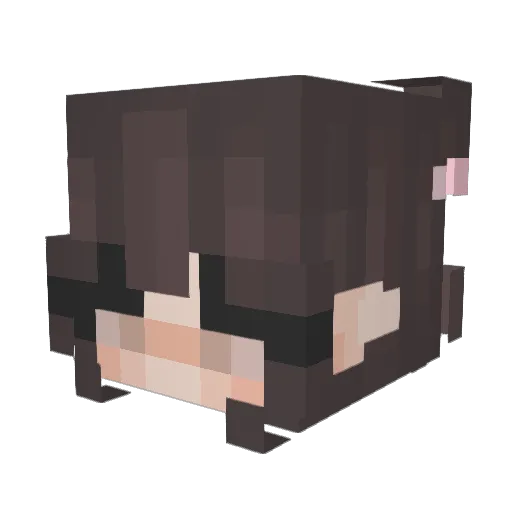 Kukkunud Minecraft avatar head, 3D render