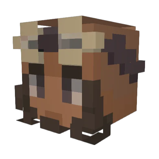 Kulash Minecraft avatar head, 3D render