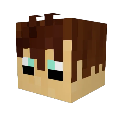 Kulkur1 Minecraft avatar head, 3D render