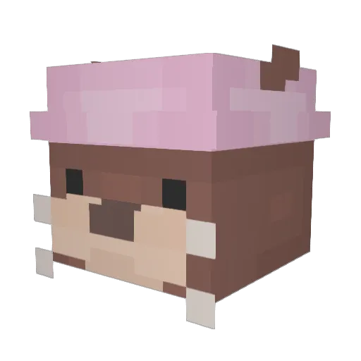 Kuma12334 Minecraft avatar head, 3D render