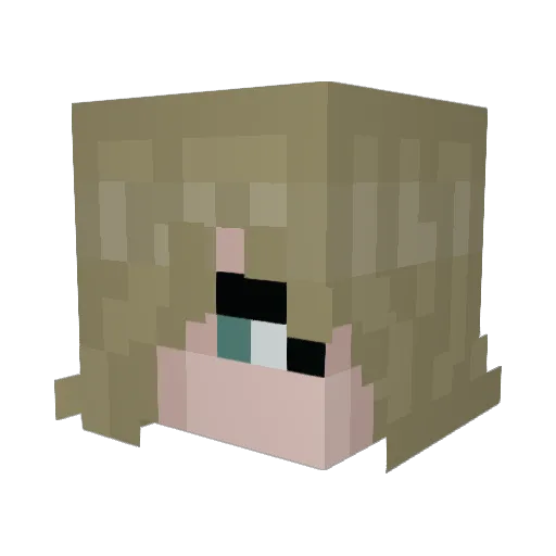 Kumapilled Minecraft avatar head, 3D render