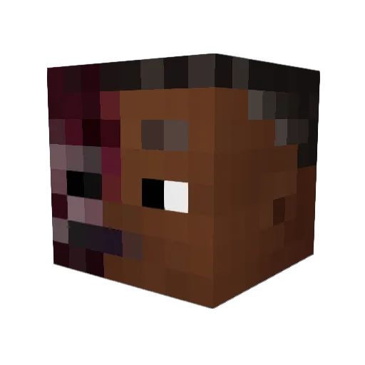 Kumarin Minecraft avatar head, 3D render