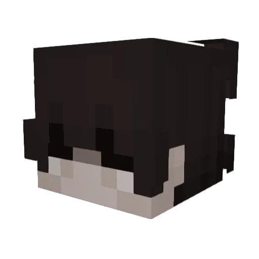Kunai_II Minecraft avatar head, 3D render