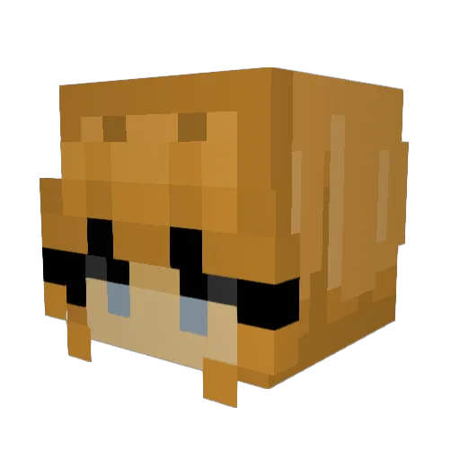 Kuncie Minecraft avatar head, 3D render