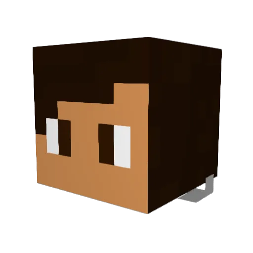 KungFooMonk Minecraft avatar head, 3D render